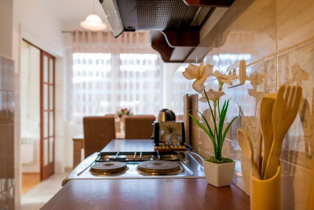 Апартаменты Apartman Andjela Тиват-53